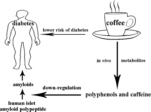 whycoffeedri